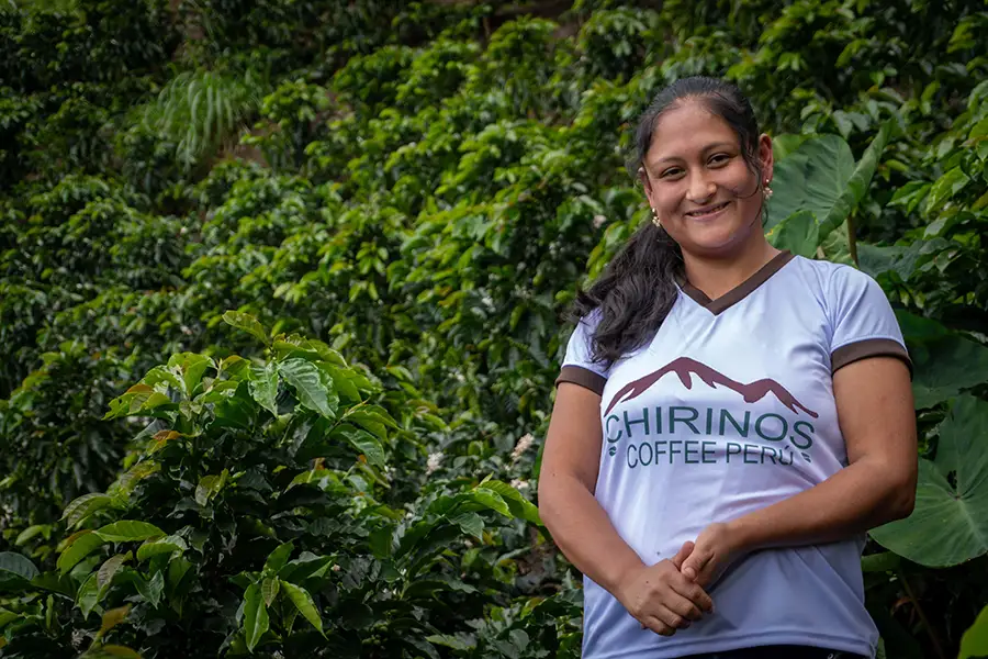 Equipo de Chirinos Coffee en proceso de clasificación de café